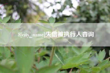 冠县失信被执行人杳询