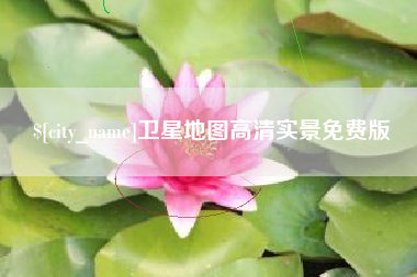 冠县卫星地图高清实景免费版