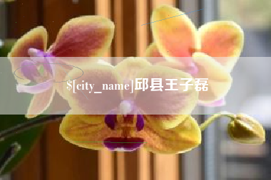 冠县邱县王子磊