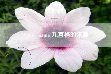 冠县九宫格的来源