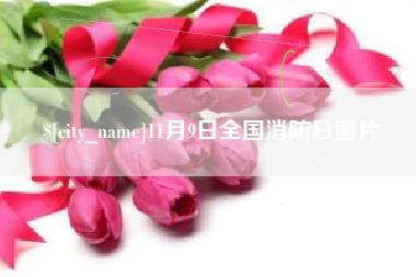 冠县11月9日全国消防日图片