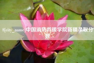 冠县中国消防救援学院新疆录取分数