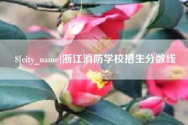 冠县浙江消防学校招生分数线