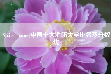 冠县中国十大消防大学排名及分数线