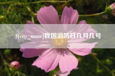 冠县我国消防日几月几号