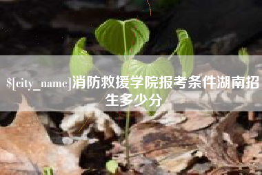 冠县消防救援学院报考条件湖南招生多少分
