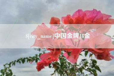 冠县中国金牌18金