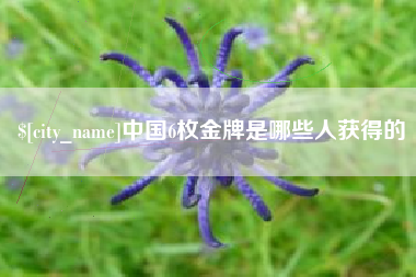 冠县中国6枚金牌是哪些人获得的