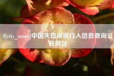 冠县中国失信被执行人信息查询公开网址