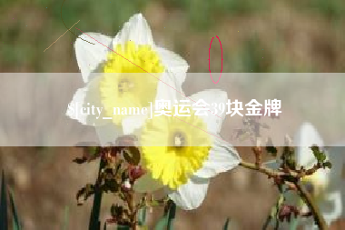 冠县奥运会39块金牌