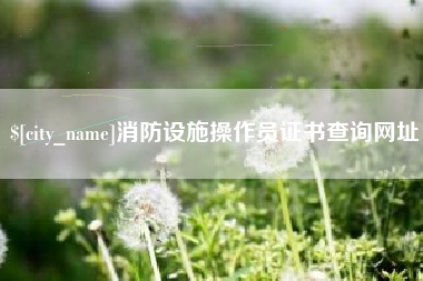 冠县消防设施操作员证书查询网址