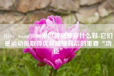 冠县5000米世界冠军穿什么鞋-它们是运动员取得优异成绩背后的重要“功臣”