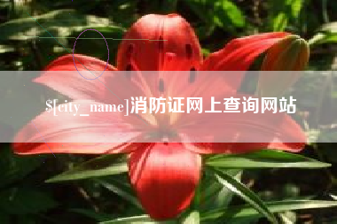 冠县消防证网上查询网站