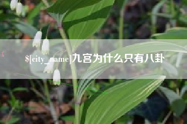 冠县九宫为什么只有八卦