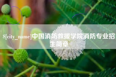 冠县中国消防救援学院消防专业招生简章