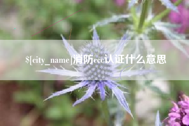 冠县消防ccc认证什么意思