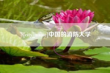冠县中国的消防大学