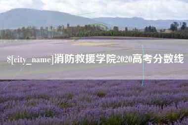 冠县消防救援学院2020高考分数线