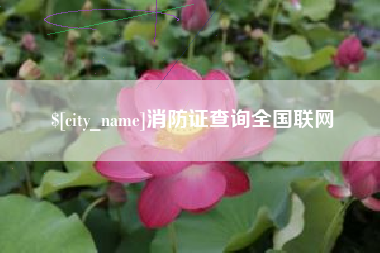 冠县消防证查询全国联网