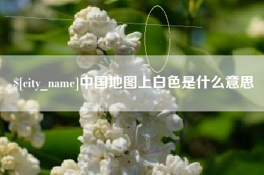 冠县中国地图上白色是什么意思