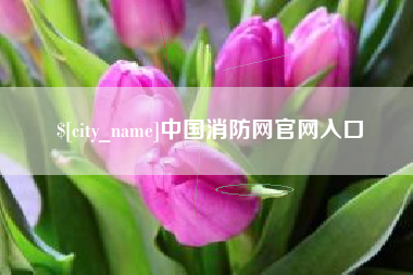 冠县中国消防网官网入口