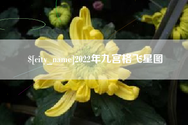 冠县2022年九宫格飞星图