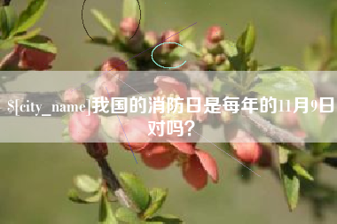冠县我国的消防日是每年的11月9日对吗？