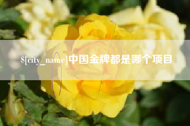 冠县中国金牌都是哪个项目