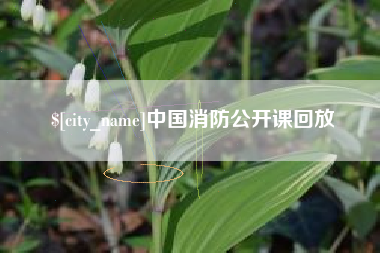 冠县中国消防公开课回放