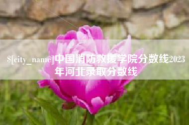冠县中国消防救援学院分数线2023年河北录取分数线
