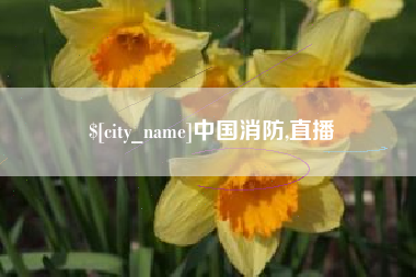 冠县中国消防,直播