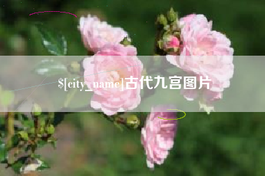 冠县古代九宫图片