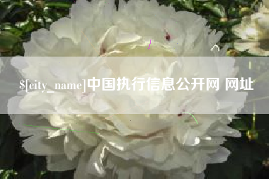 冠县中国执行信息公开网 网址