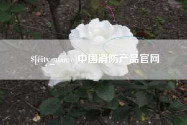 冠县中国消防产品官网