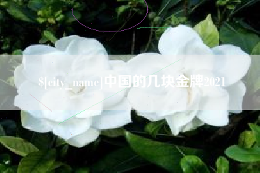 冠县中国的几块金牌2021