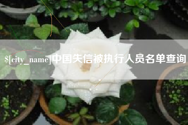 冠县中国失信被执行人员名单查询