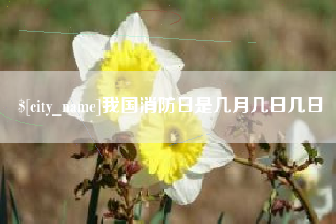 冠县我国消防日是几月几日几日