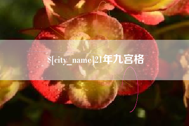 冠县21年九宫格