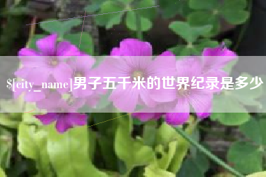 冠县男子五千米的世界纪录是多少