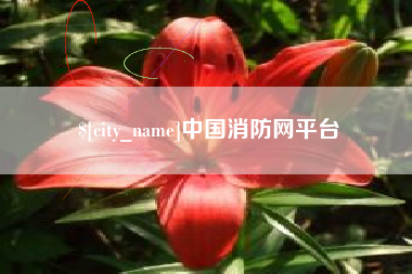 冠县中国消防网平台