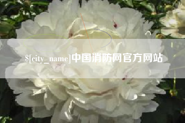 冠县中国消防网官方网站