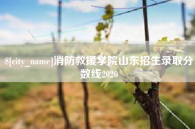 冠县消防救援学院山东招生录取分数线2020