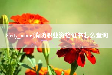 冠县消防职业资格证书怎么查询