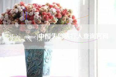 冠县中国失信执行人查询官网