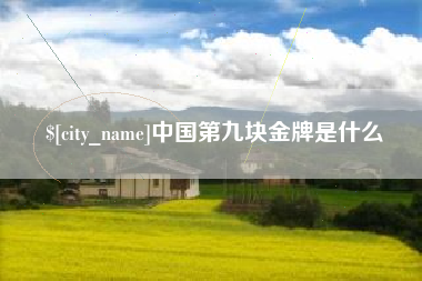 冠县中国第九块金牌是什么