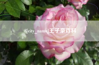 冠县王子豪百科