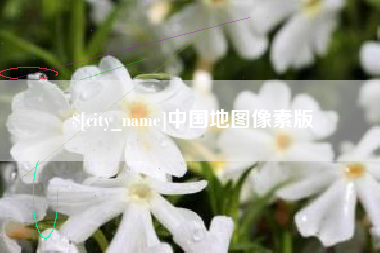 冠县中国地图像素版