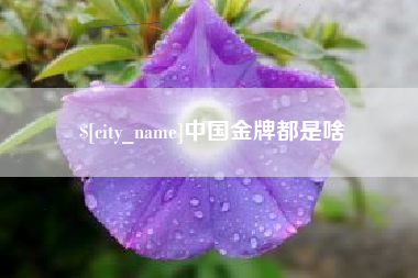 冠县中国金牌都是啥