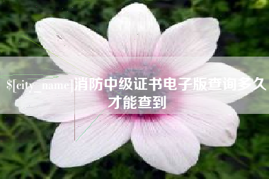 冠县消防中级证书电子版查询多久才能查到