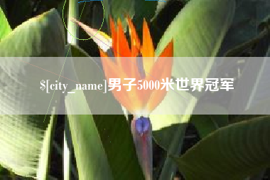 冠县男子5000米世界冠军